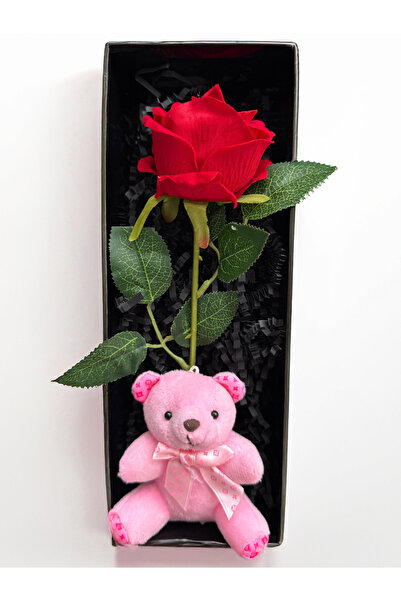 lenostra Kiza Hediye Kırmızı Gül ve Pembe Ayıcık Sevgiliye Hediye Kadina Hedi...