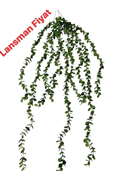 Lilac Home 798 Yaprak Toplam 8 Metre Jumbo Okaliptus Sarkan Demet