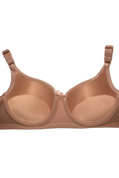 CHC Chocho Women's Underwire Padded Dusty Rose Bra