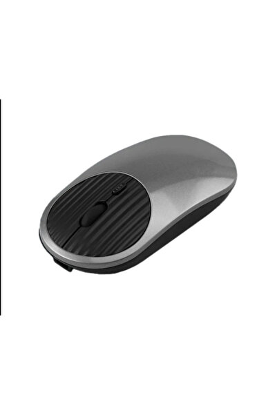 Datastar Ergonomik Kablosuz Mouse