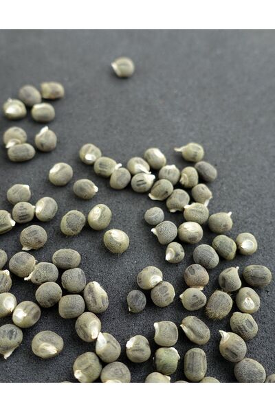 Ermiş Attar Bamya Tohumu 100 Gram Katkısız Ermiş Attar