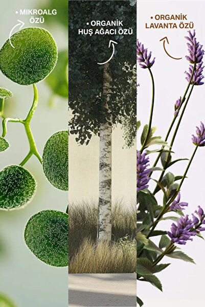 Insight Yağlı Saç Derisi İçin Peeling Krem 180 Ml.