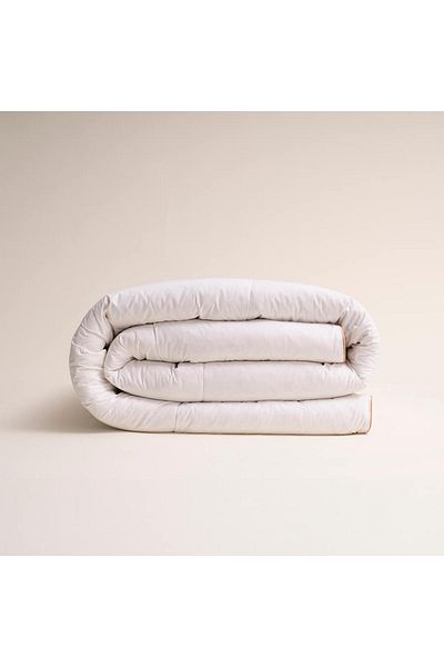 Penelope Heat Balancing 100% Goose down Single Pillow Quilt Set - Lisa Series