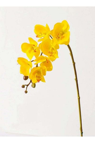 huitich Eternal Elegance: Artificial Orchid Flowers Collection Yellow