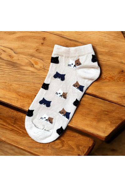 MODA White Cat Colorful Booties Socks