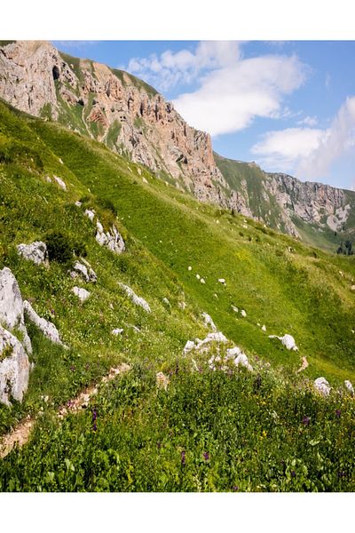 media Fototapet de perete autoadeziv si lavabil Natura90, 135 x 225 cm