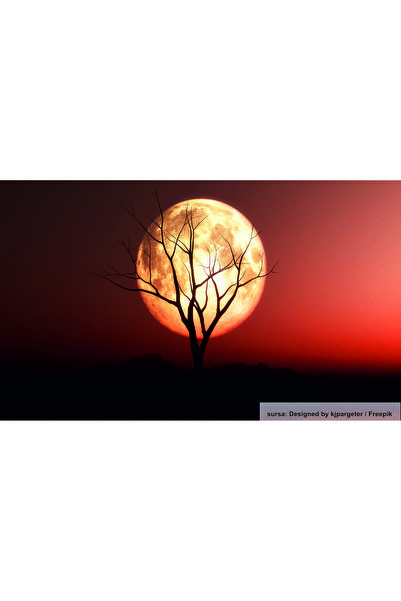 media Fototapet de perete autoadeziv si lavabil Luna rosie, 250 x 200 cm