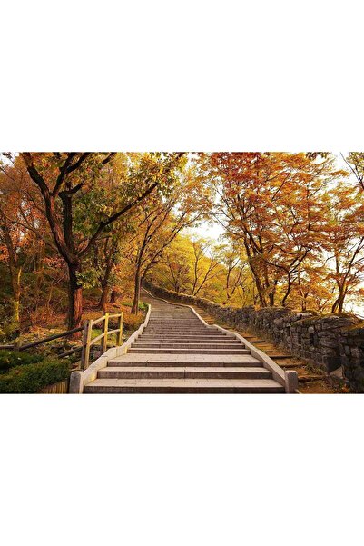 media Fototapet de perete autoadeziv si lavabil Trepte spre cer, 220 x 135 cm