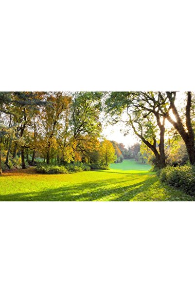 media Fototapet de perete autoadeziv si lavabil Toamna in parc, 270 x 200 cm