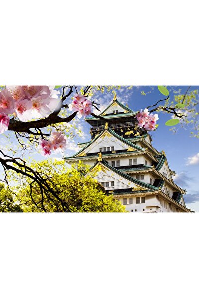 media Самозалепващ се и миещ се фототапет „Череши и традиция“, 220 x 135 см