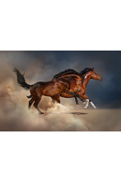 media Fototapet Doi cai maro, nisip, galop, 350 x 200 cm