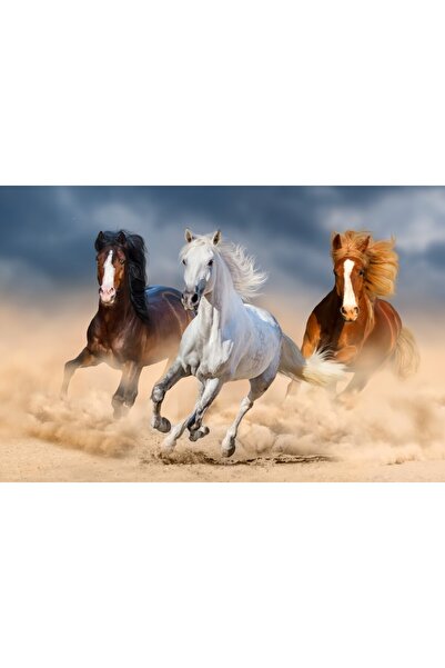 media Fototapet Cai, galop, nisip2, 250 x 200 cm