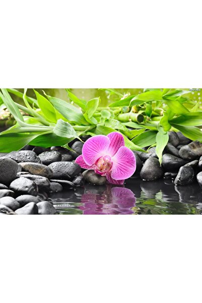 media Орхидея с бамбуков стикер, 220 x 135 см