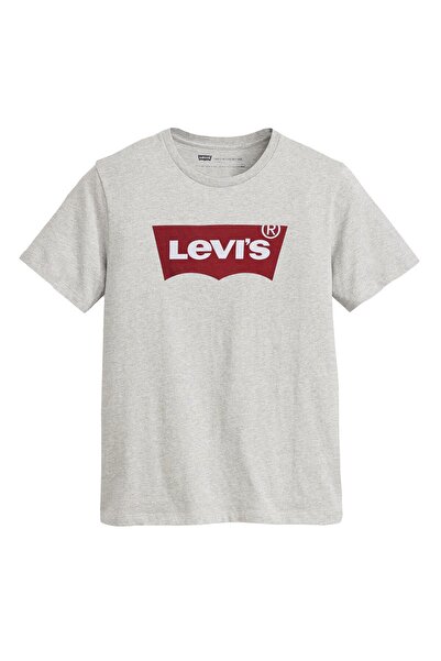 Levi's Herren T-Shirt - "Graphic Set-In Neck", Rundhals, Baumwolle