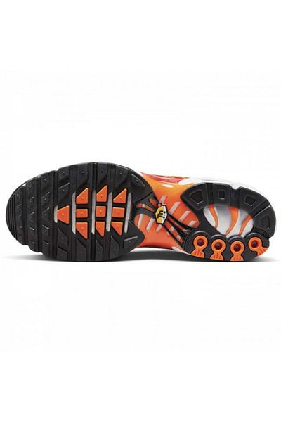 Nike AIR MAX PLUS OG DZ3531-600