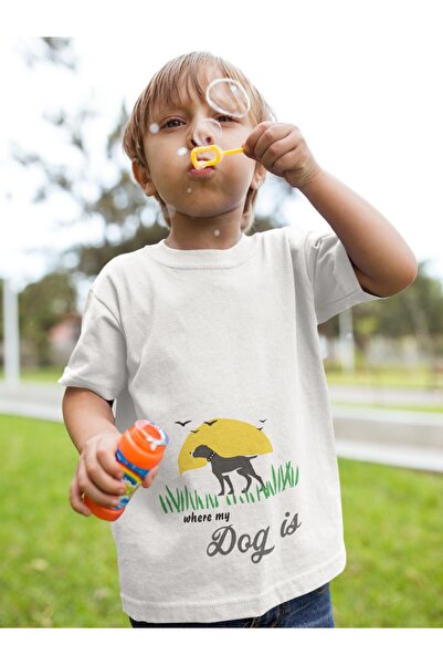 Butik ΠΑΙΔΙ - ΕΡΩΤΗΣΗ ΤΟΥ ΠΟΥ ΕΙΝΑΙ ΤΟ ΣΚΥΛΟΜΑ ΜΟΥ - ΜΠΟΥΜΕΛΟ ΜΕ ΣΤΡΟΓΓΥΛΗ ΛΑ...