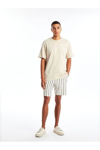 LC Waikiki Xside Comfortable Fit Striped Men's Shorts