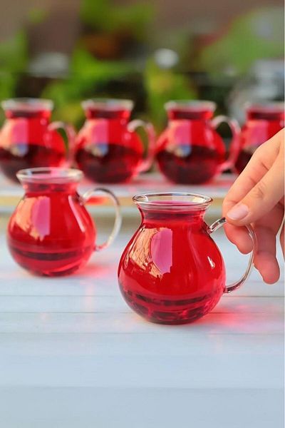 MİEN Mien Heat Resistant Set of 6 Borosilicate Glass Cups with Handles Modern Tea Cup Set