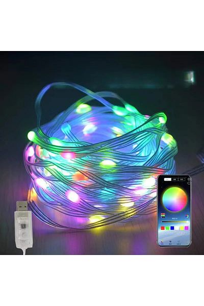 Choice 20M200LED 20M WS2812B Fairy Light Bluetooth LED String RGB Dream Color Addressable Party Christmas L
