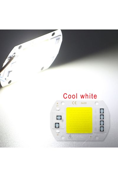 Parkson 50W 220V Cold White LED Lights Chip COB AC110V 220V 10W 20W 30W 50W Landscape Lamps Chip For Garden