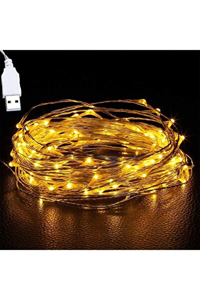 Choice سلسلة أضواء خرافية LED بيضاء دافئة بطول 1 متر و10 مصابيح LED من الأسلا...