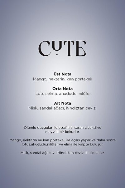 Carpex Cute Maxx Tower 750-X Koku Kartuşu 100 ML Classıc Seri