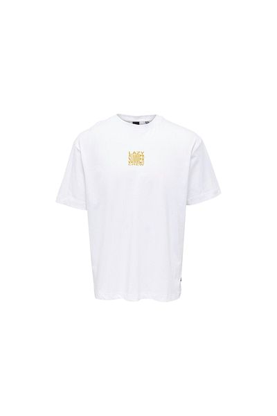 ONLY Men's T-Shirt 22025301
