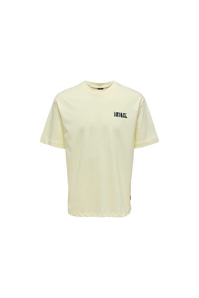 ONLY Men's T-Shirt 22025301