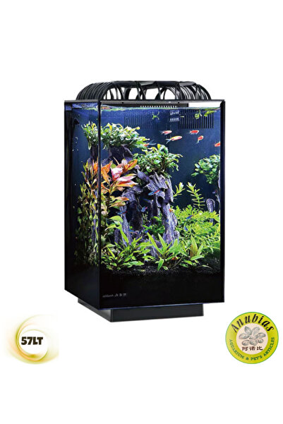 ANUBIAS AQUARIUM LIVE PLANTS Anubias Labeo 25 Nano Akvaryum Siyah 25 x 25 x 40 Cm