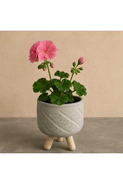 Home AYAKLI ESKİTME SAKSI