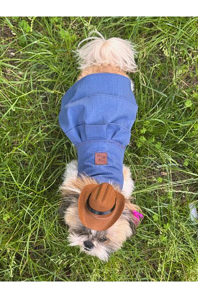For a Fur Dog Cat Dress Outfit Slim Jeans Dress Pleated