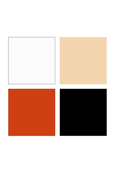 Bafimo Pastă de modelat FIMO Professional, set de 4 culori, 100g, 8043-S2