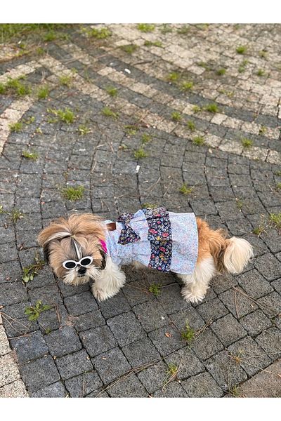 For a Fur Dog Dress Cat Dress Outfit Blue Navy Floral Poplin Fabric