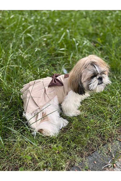 For a Fur Dog Dress Outfit Beige Coffee Color Poplin Fabric Pleated