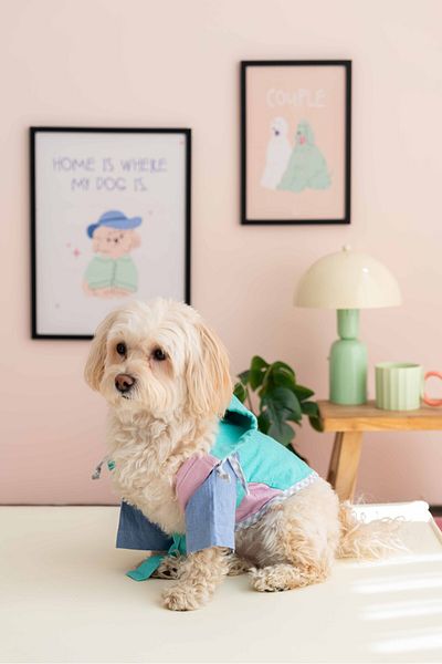 Lorico Dog Bathrobe (for Shower and Beach)