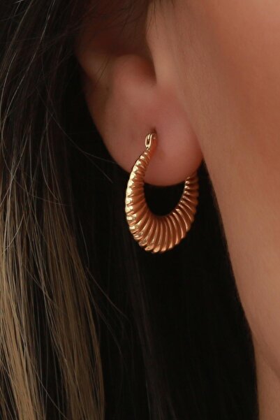 Bayar Gold 14 Ayar Altın İstiridye Küpe 2 cm