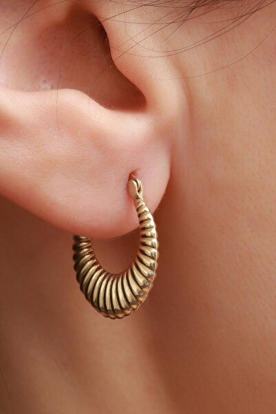 Bayar Gold 14 Ayar Altın İstiridye Küpe 2 cm