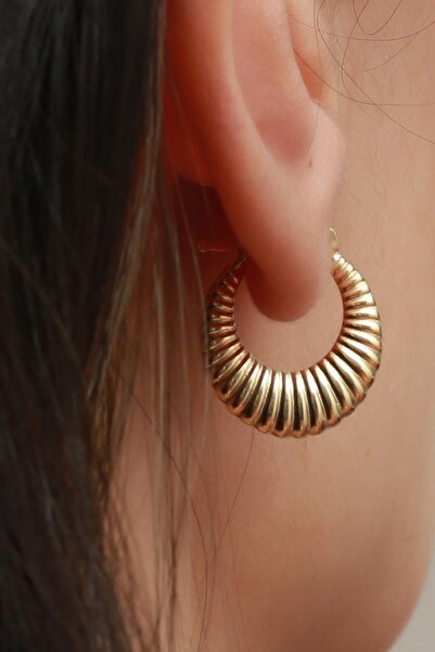 Bayar Gold 14 Ayar Altın İstiridye Küpe 2 cm