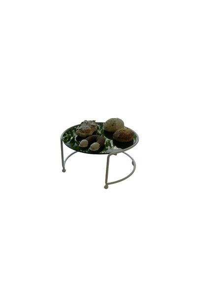 Edora Home Beige Small Size Presentation Stand Metal Gift Decoration Treat / Black Plexiglass / Stainless
