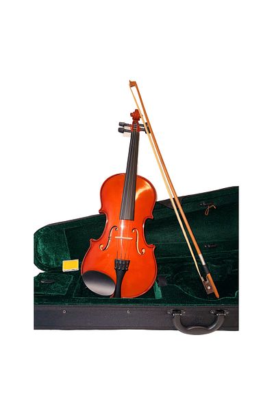 Parrot 1/4 violin with case and bow Parrot PU279