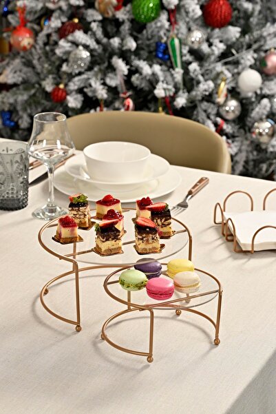 Edora Home Rose Small Size Presentation Stand Metal Gift Decoration Treat / Transparent Plexiglass / Stainless