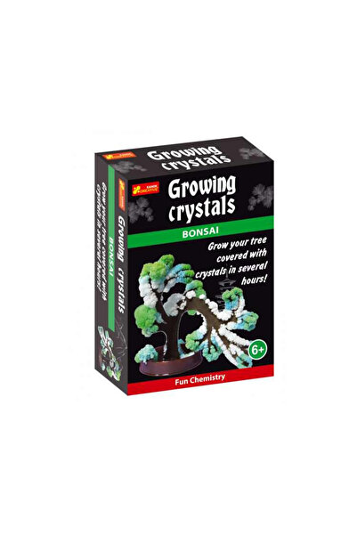 Ranok Creative Κρύσταλλοι που καλλιεργούν μπονσάι RANOK