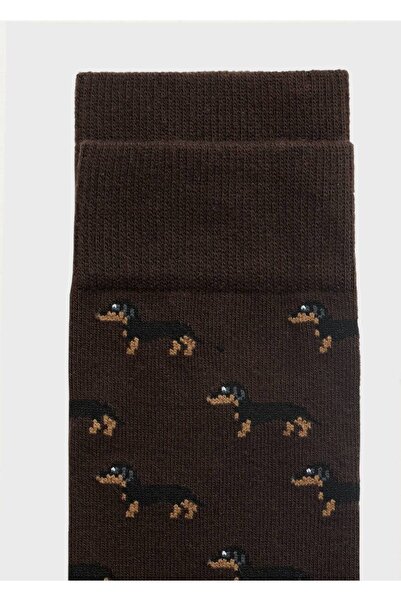 MANGO Man Köpek desenli pamuklu çorap