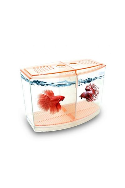 AquaHome Beta Container Aquarium 9X19X14 cm - Mixed Color