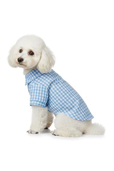 Buddy Store New Season - Summer Checkered Shirt Series for Cats and Dogs (with New Color Options)