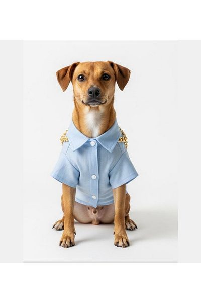 Buddy Store New Season - Summer Blue Necklace Detailed Shirt Series for Cats and Dogs (Muslin Fabric)
