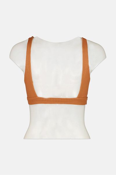 aerie Women Textured Padded Bralette, Brown
