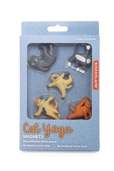 Kikkerland 6'lı Set Kedi Poposu Küçük Buzdolabı Yenilikçi Komik Mıknatıslar T...