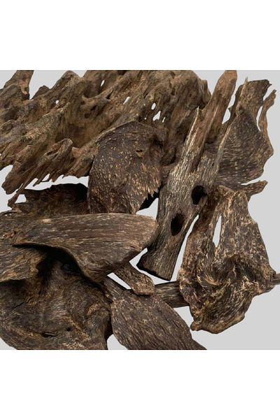 maysam 12g - Old Ceylon Oud from Adam Island