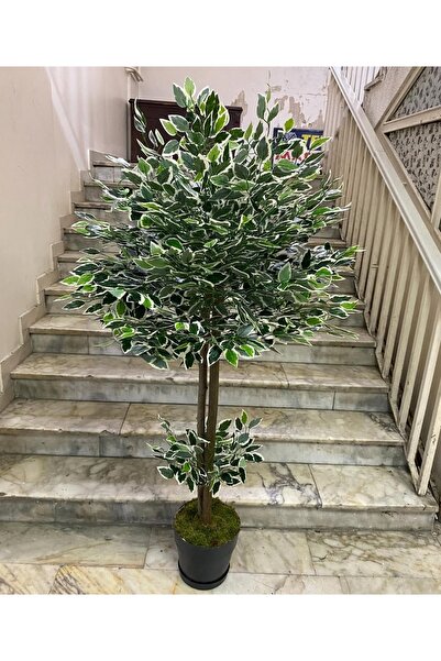 RUZGARCİCEK Rüzgar Yapay Çiçekçilik 160 cm Ficus Ağacı